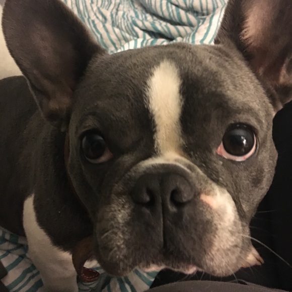 mikellboggs